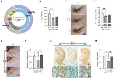 Identification and evaluation of midbrain specific longevity-related genes in exceptionally long-lived but healthy mice